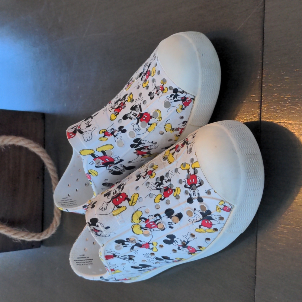 Mickey Mouse Natives